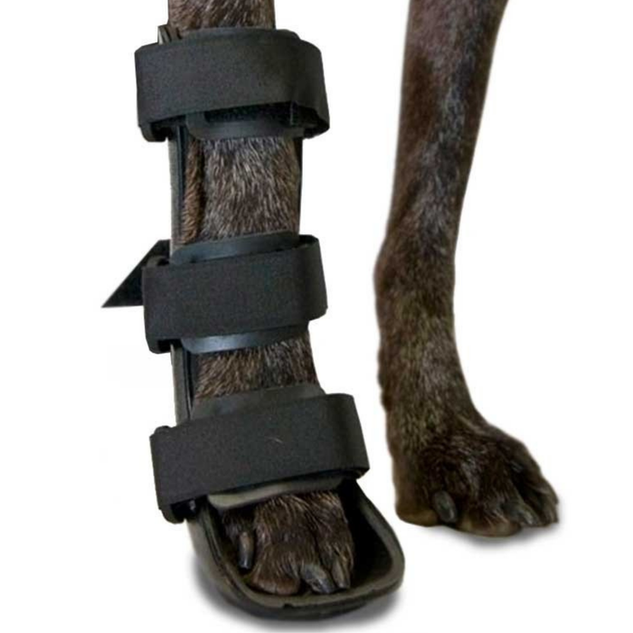 Attelle pour patte avant de chien en polypropylène | 6 tailles