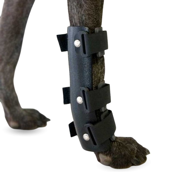 Attelle pour Carpe pour Chien | Support Canin en 5 Tailles