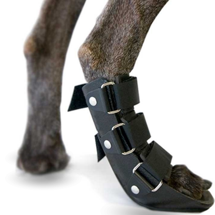 Attelle Botte Courte pour Chiens avec Knuckling | 5 Tailles