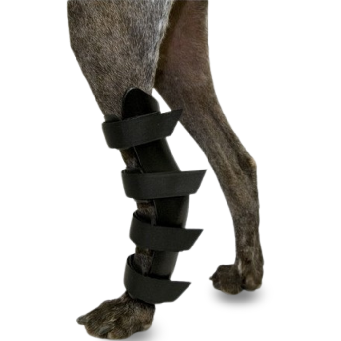 Orthèse pour Chiens avec Lésions de Tarse et Cheville
