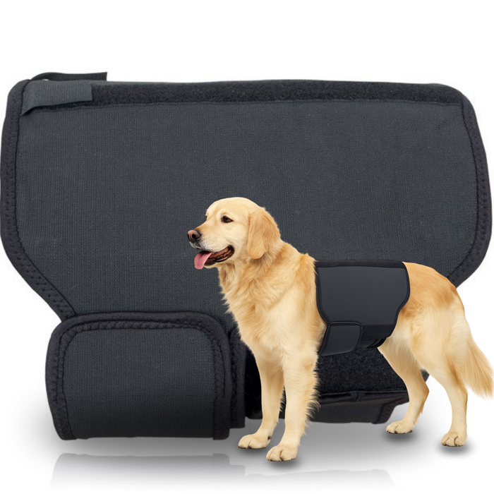 Ceinture Thermique Canine Back on Track | Support pour dos