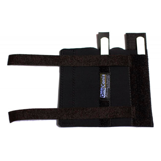 Bracelet pour Chien avec Attelles | Récupération post-chirurgicale