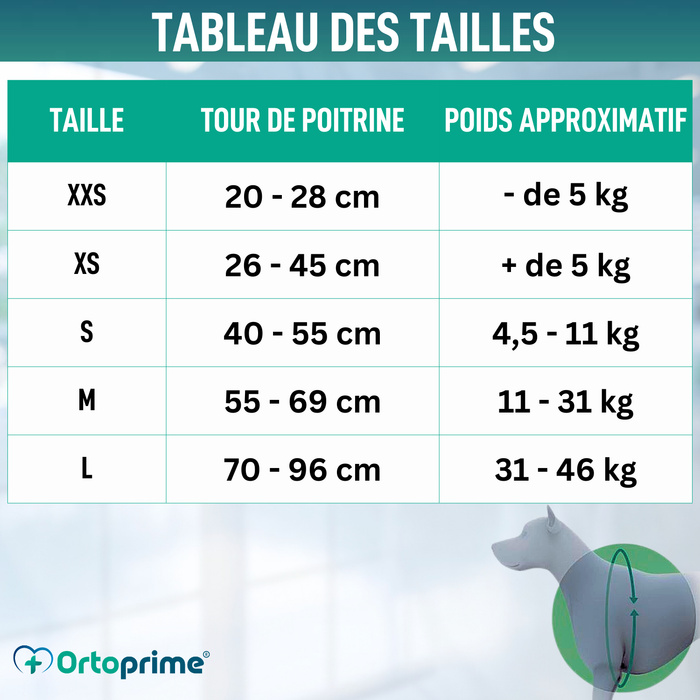 Harnais Canin pour Rééducation Neurologique | 5 Tailles