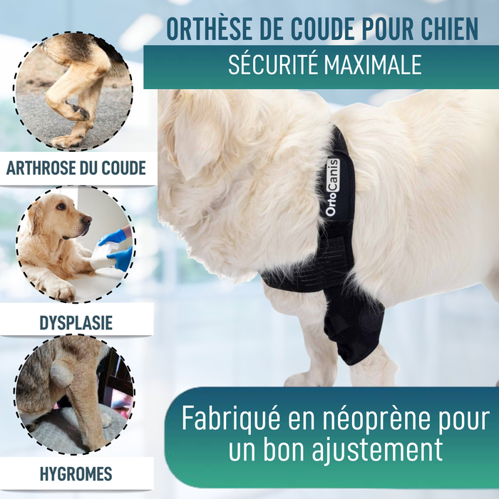 Orthèse de Coude pour Chiens avec arthrose Rééducation Canine