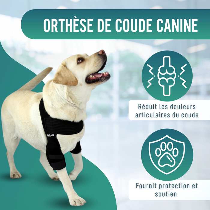 Orthèse de Coude pour Chiens avec arthrose Rééducation Canine