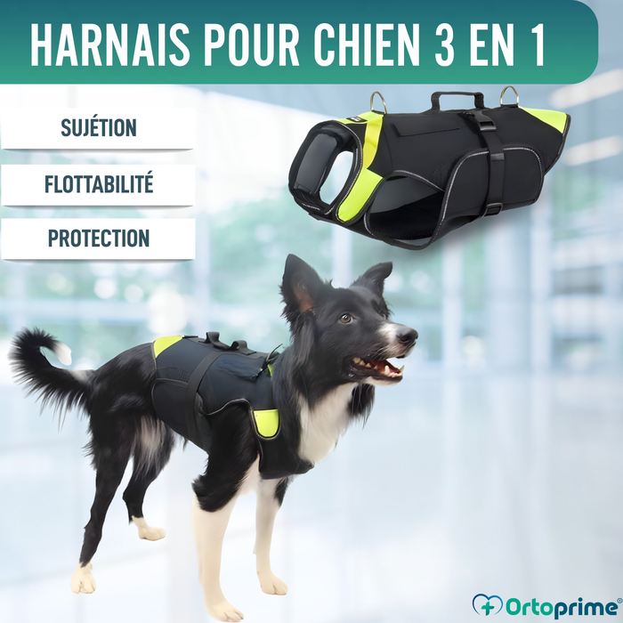 Harnais Canin Multifonction 3 en 1 en Néoprène | 4 Tailles