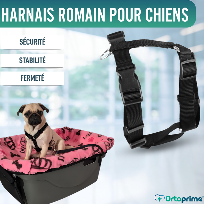 Harnais Canin pour Rééducation Neurologique | 5 Tailles