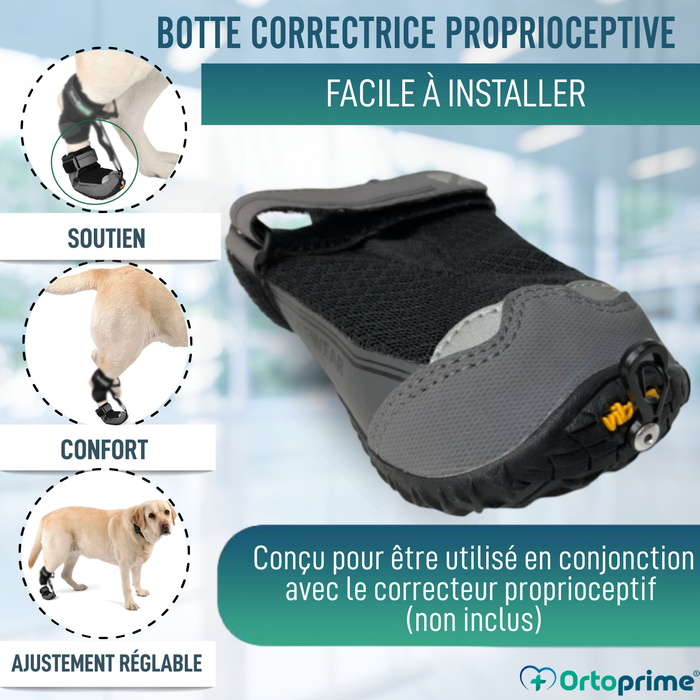 Botte pour Correcteur Proprioceptif Canin | Semelle en Caoutchouc