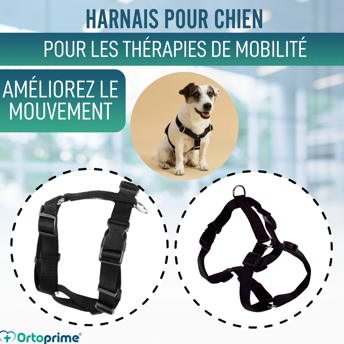 Harnais Canin pour Rééducation Neurologique | 5 Tailles