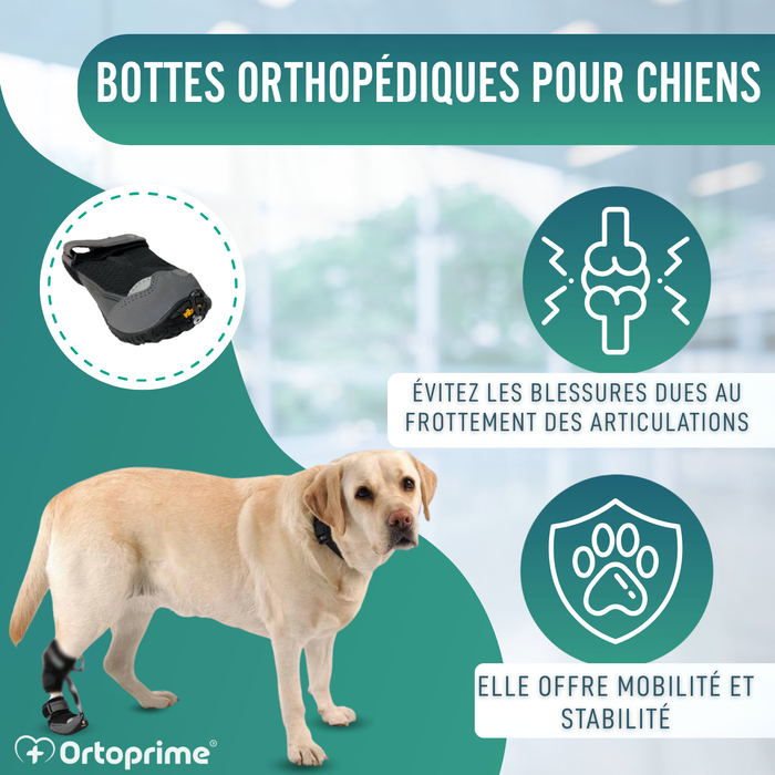 Botte pour Correcteur Proprioceptif Canin | Semelle en Caoutchouc