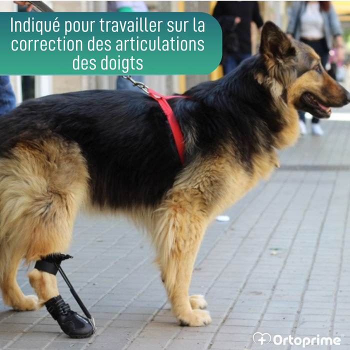 Botte pour Correcteur Proprioceptif Canin | Semelle en Caoutchouc