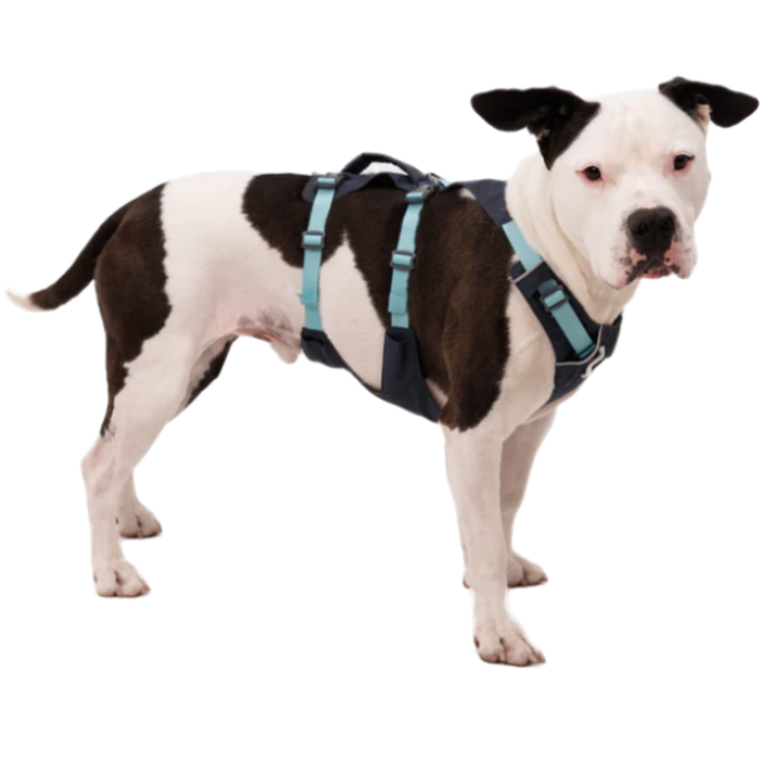 Harnais Canin de Levage Polyvalent | Structure Résistante