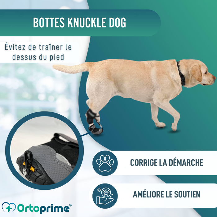 Botte pour Correcteur Proprioceptif Canin | Semelle en Caoutchouc