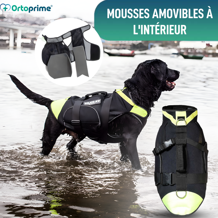 Harnais Canin Multifonction 3 en 1 en Néoprène | 4 Tailles