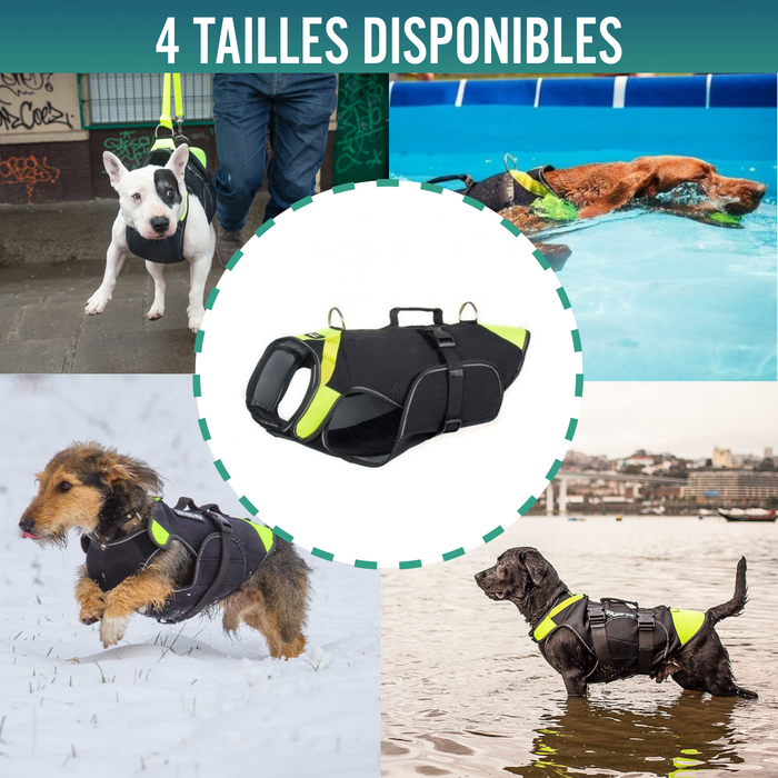 Harnais Canin Multifonction 3 en 1 en Néoprène | 4 Tailles