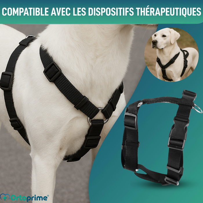 Harnais Canin pour Rééducation Neurologique | 5 Tailles