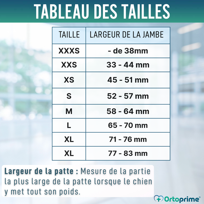 Botte d’Hiver Haute pour Chiens | Semelle Antidérapante