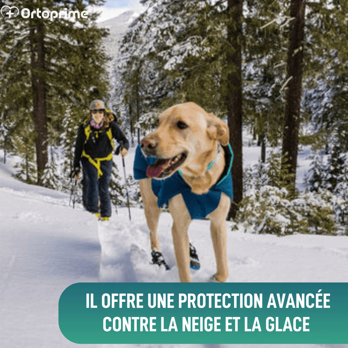 Botte d’Hiver Haute pour Chiens | Semelle Antidérapante