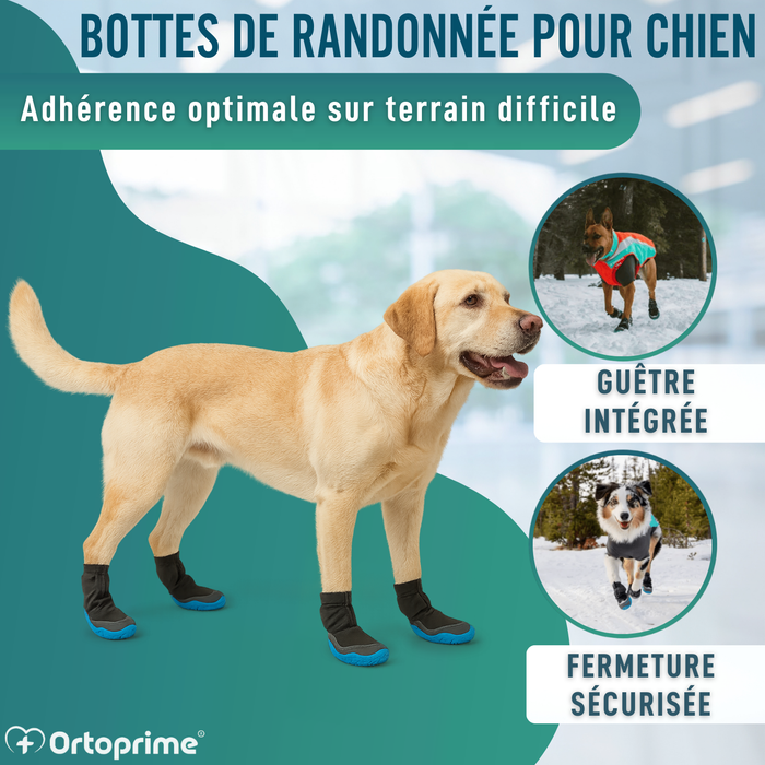 Botte d’Hiver Haute pour Chiens | Semelle Antidérapante