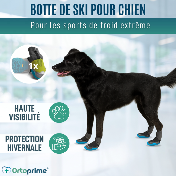 Botte d’Hiver Haute pour Chiens | Semelle Antidérapante