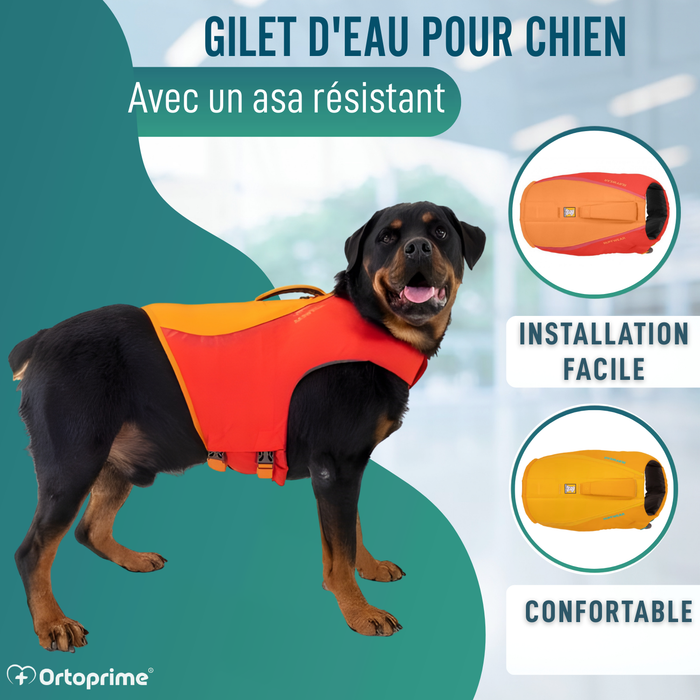 Gilet de Sauvetage pour Chien Multi-Usage | Sécurité Aquatique