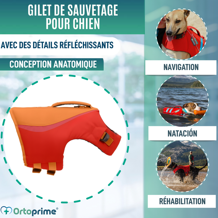 Gilet de Sauvetage pour Chien Multi-Usage | Sécurité Aquatique