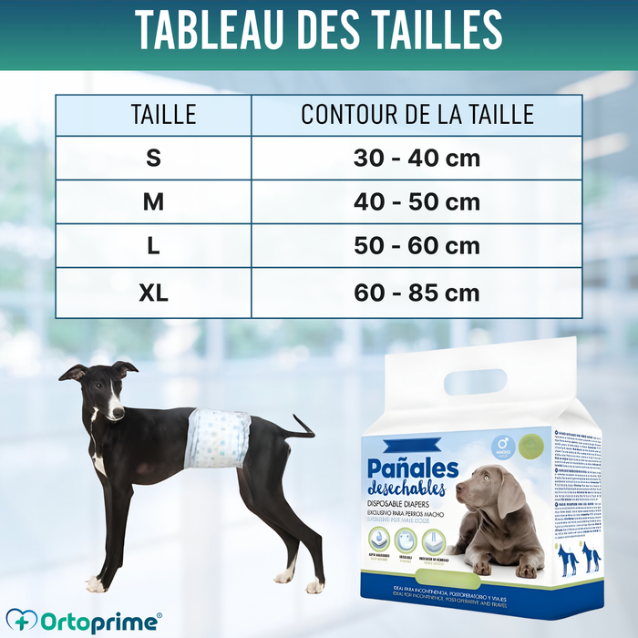 Couches pour Chien Mâle Ultra Absorbantes | Pack 12