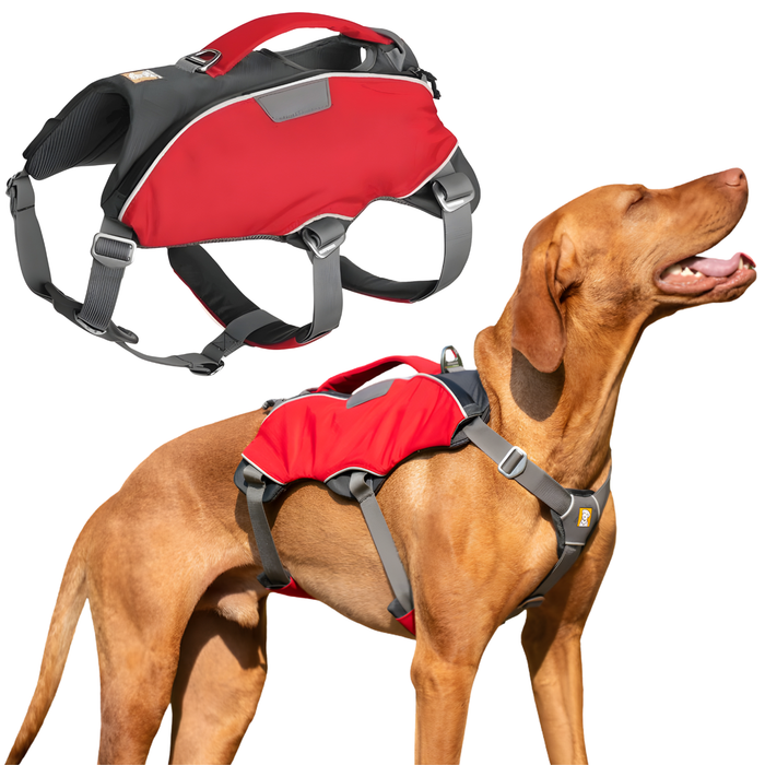 Harnais pour Chien de Sauvetage | Haute Résistance
