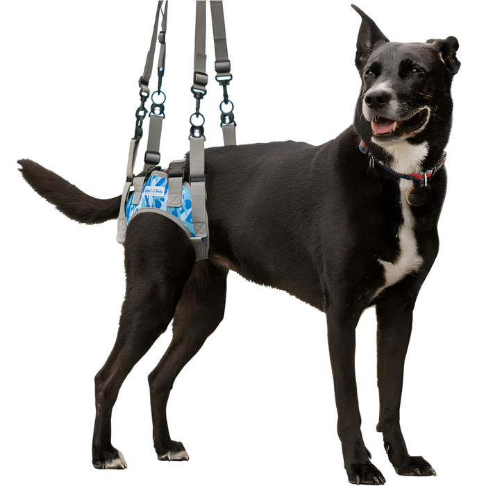 Harnais pour Chiens à Mobilité Réduite des Pattes Arrières