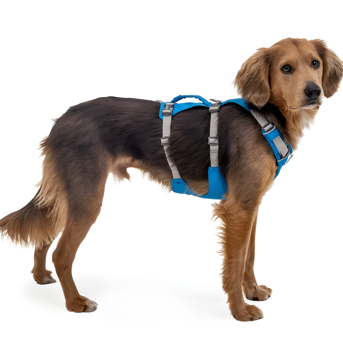 Harnais Canin de Levage Polyvalent | Structure Résistante