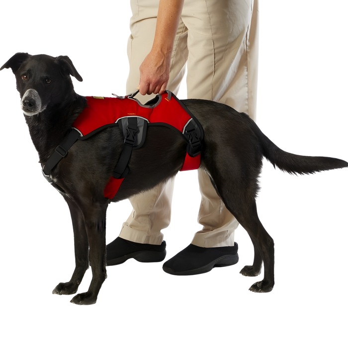 Harnais de Support pour Chiens d’Assistance | 5 Tailles