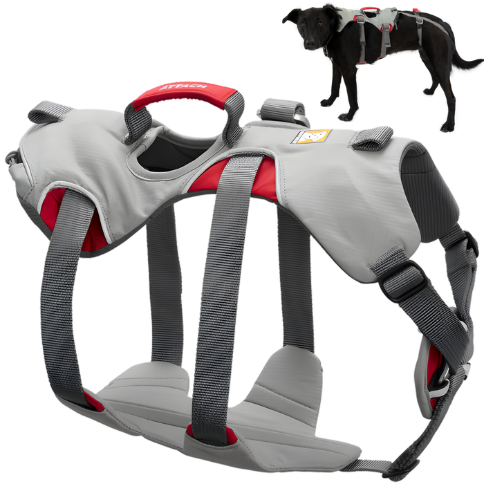Harnais de Soutien pour Chiens d’Alpinisme | Haute Résistance