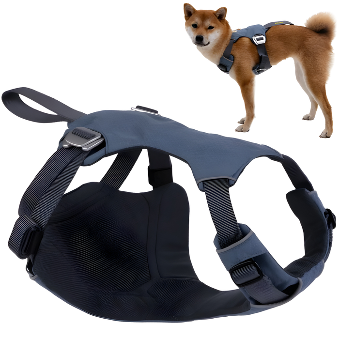 Harnais de Sécurité pour Transport Canin | Haute Résistance