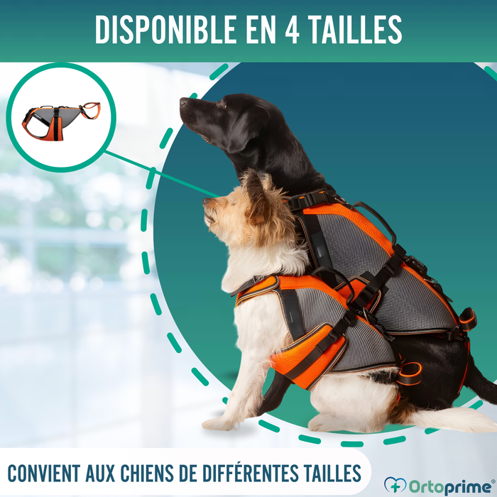 Imbracatura per Riabilitazione Completa per Cani | Materiale 3D