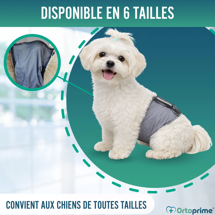 Ceinture Anti-Fuite pour Incontinence Canine | Chien Mâle
