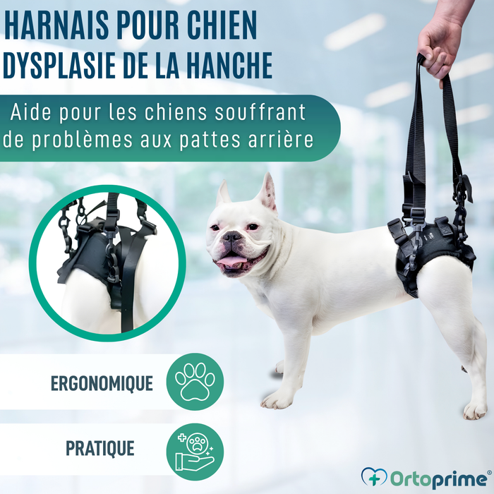 Harnais pour Chiens à Mobilité Réduite des Pattes Arrières