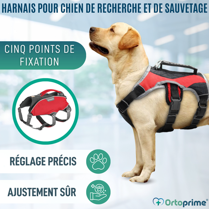 Harnais pour Chien de Sauvetage | Haute Résistance