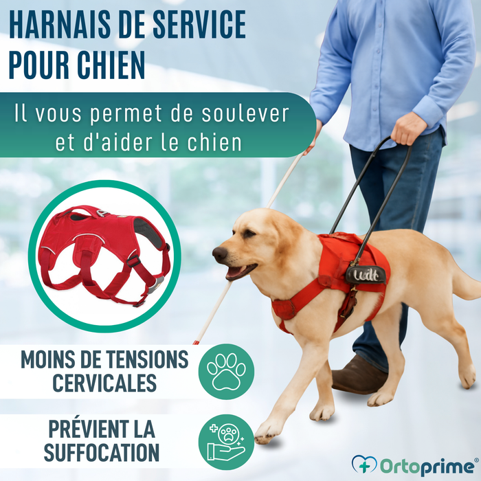 Harnais de Support pour Chiens d’Assistance | 5 Tailles