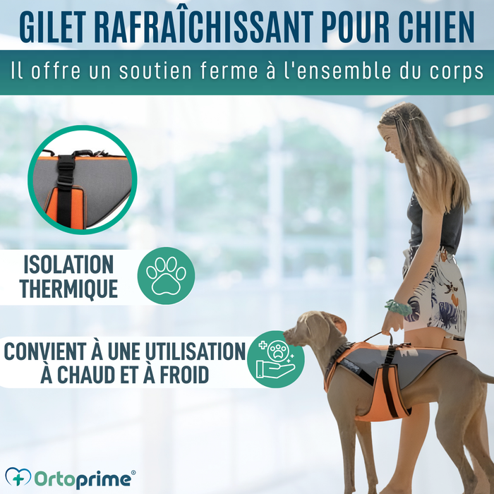 Imbracatura per Riabilitazione Completa per Cani | Materiale 3D