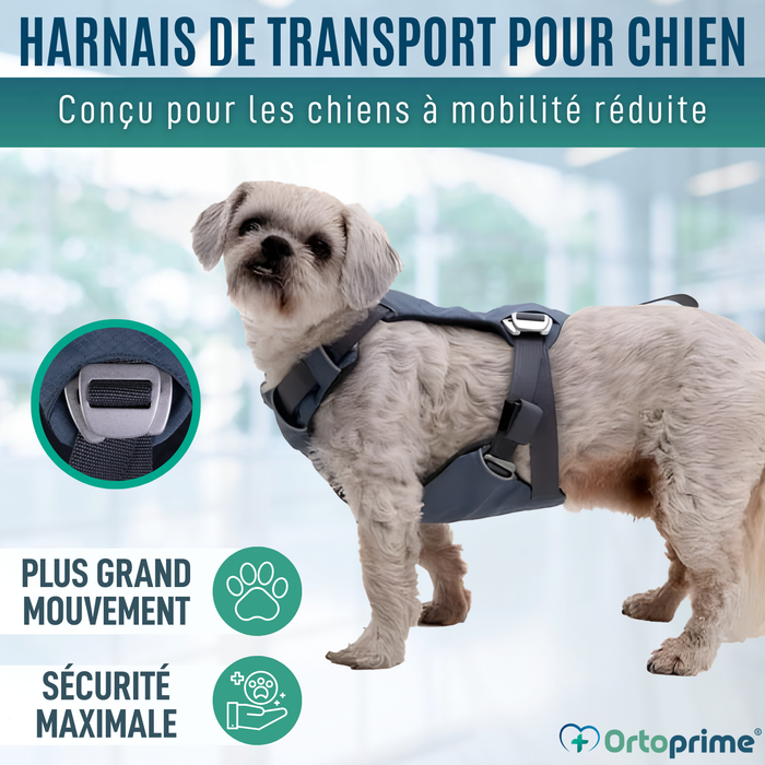 Harnais de Sécurité pour Transport Canin | Haute Résistance