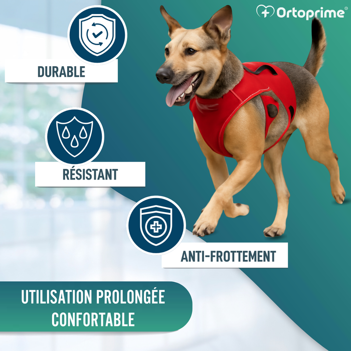 Harnais de Support pour Chiens d’Assistance | 5 Tailles