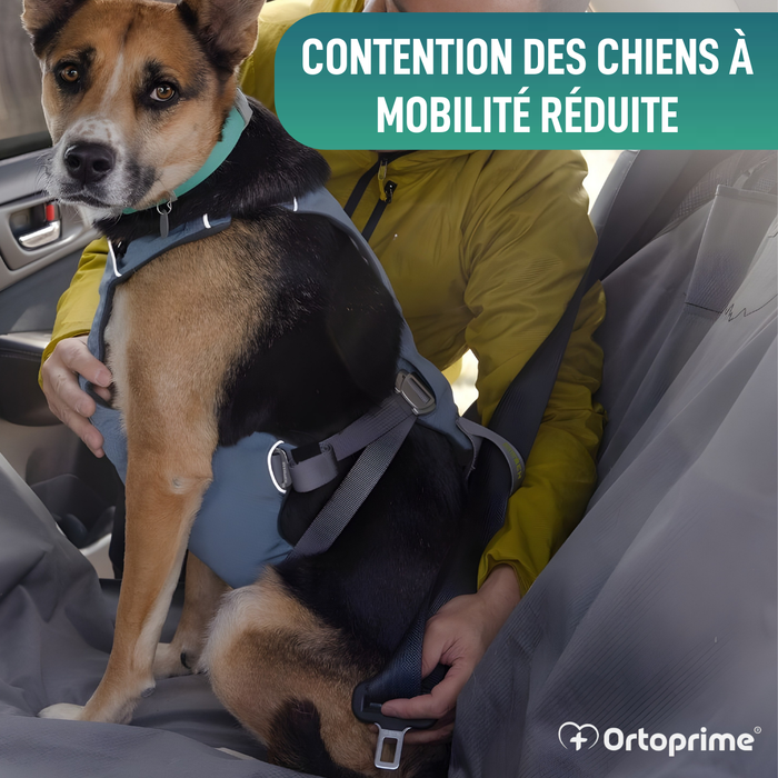 Harnais de Sécurité pour Transport Canin | Haute Résistance