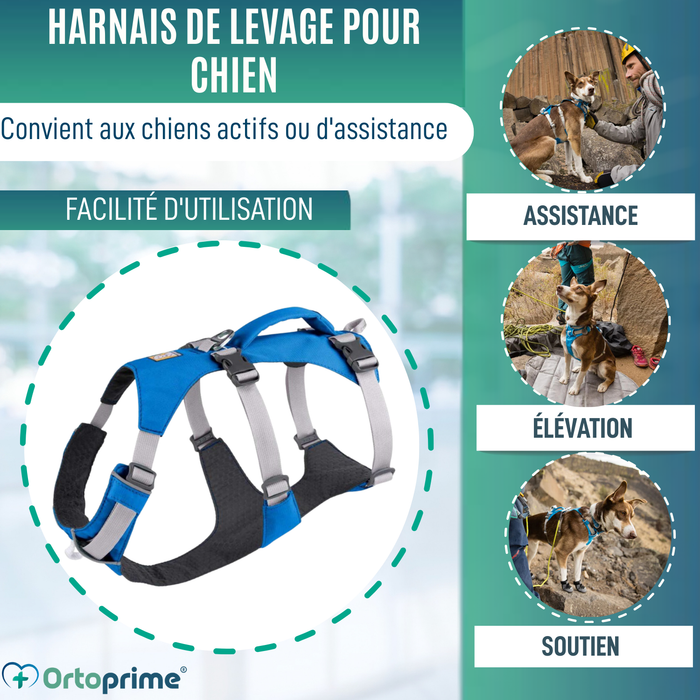 Harnais Canin de Levage Polyvalent | Structure Résistante