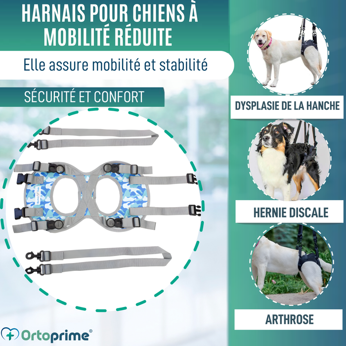 Harnais pour Chiens à Mobilité Réduite des Pattes Arrières