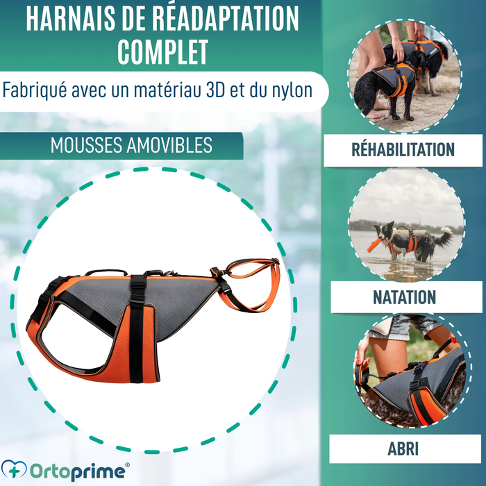 Imbracatura per Riabilitazione Completa per Cani | Materiale 3D