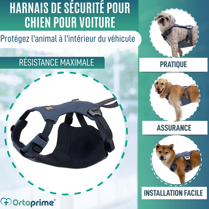 Harnais de Sécurité pour Transport Canin | Haute Résistance