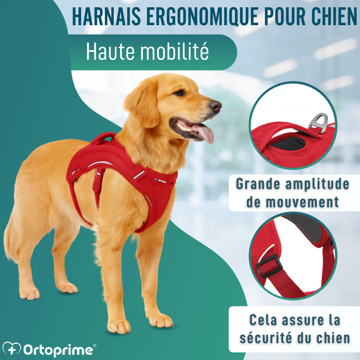 Harnais de Support pour Chiens d’Assistance | 5 Tailles