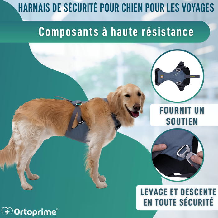 Harnais de Sécurité pour Transport Canin | Haute Résistance