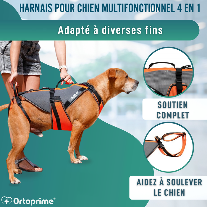 Imbracatura per Riabilitazione Completa per Cani | Materiale 3D