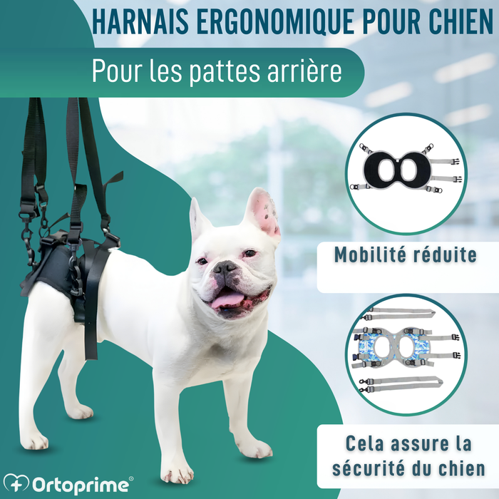 Harnais pour Chiens à Mobilité Réduite des Pattes Arrières
